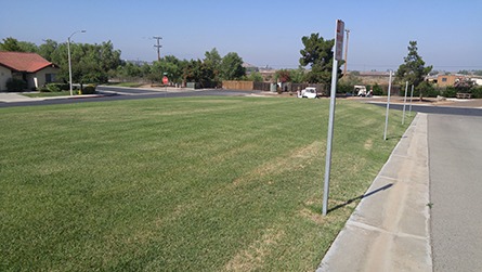 Vast green lawn bordered by concrete, with parking signs visible along the edge. Residential area in the background, under clear blue sky.