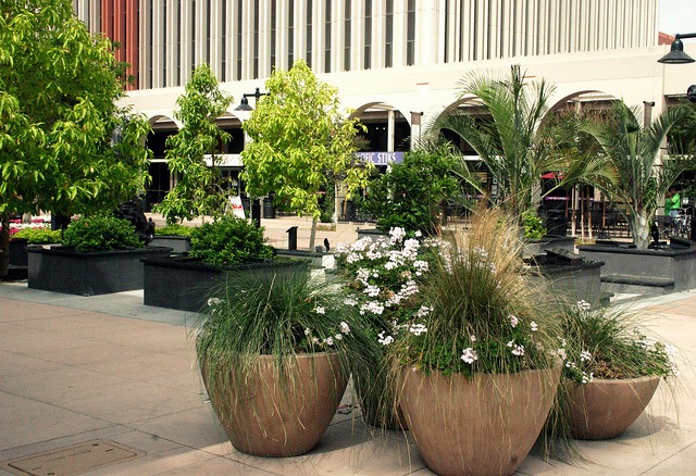 Lush green plants and flowering shrubs in decorative pots enhance an urban plaza, creating a vibrant and inviting atmosphere.
