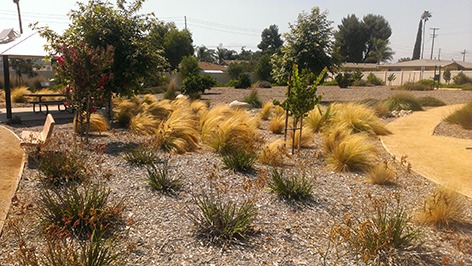 Pathway meanders through a landscaped garden filled with various shrubs and trees, featuring a single wooden bench on the side.