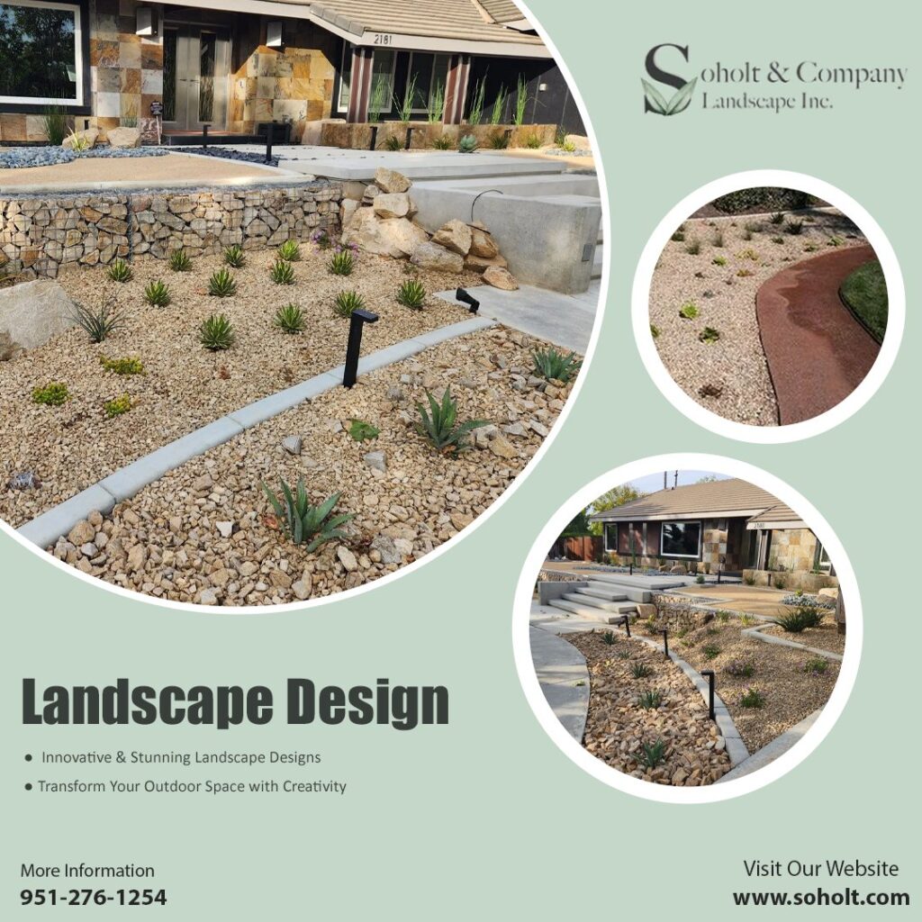Modern landscape design showcasing gravel beds, succulents, and structured pathways, enhancing outdoor aesthetics for residential spaces.